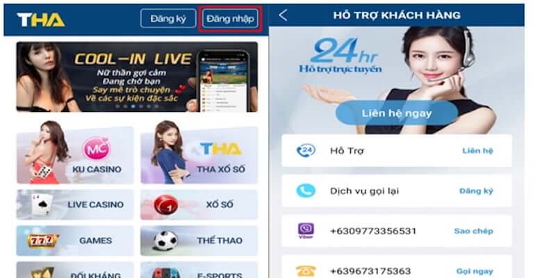Vì sao việc liên hệ Thabet77 rất quan trọng