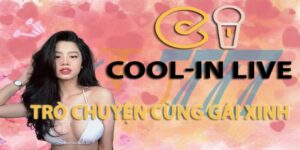 cool in live thabet77 anh dai dien